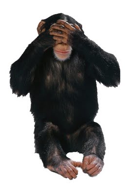 See No Evil Know No Evil