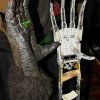 Monsterpalooza